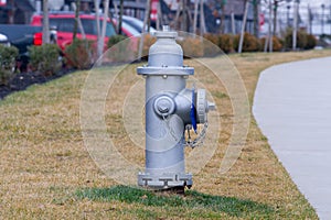 Fire hydrant silver color paint outdoors in a park, sunny day