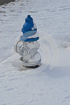 Fire Hydrant in the Snow