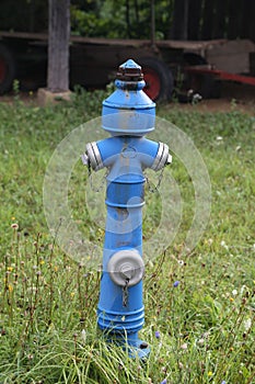 Fire hydrant standing on a green lawn.