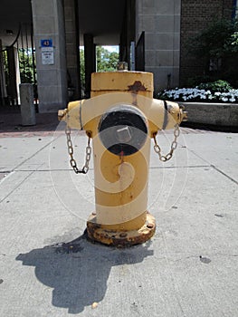Fire Hydrant in Toronto, Canada
