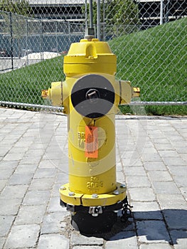 Fire Hydrant in Toronto, Canada