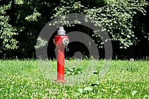 Fire hydrant with typical red colour at green lawn