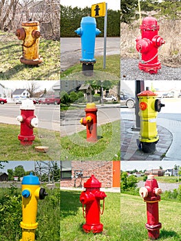 Fire Hydrants collage montage collection