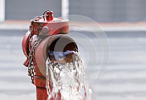 Fire Hydrants