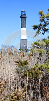 Fire island lighthouse national sea shore