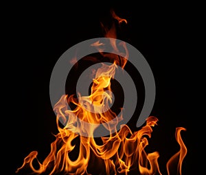 Fire isolated on a black background.