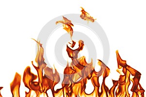 Fire isolated on white background.