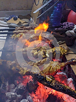 Fire  kabab sekh kabab