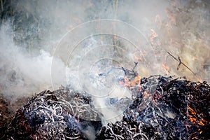 Fire on the landfill. Pollution of the environment_