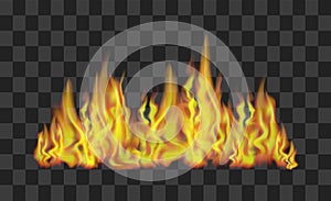 Fire Line on Transparent Background. Vector