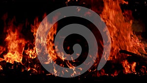 Fire Looping isolated seamless loop. Looping Fire Element, SMotion Fire Ignition From Bottom To Top. Isolated fire flame