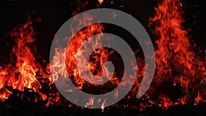 Fire Looping  isolated seamless loop. Looping Fire Element, SMotion Fire Ignition From Bottom To Top. Isolated fire flame