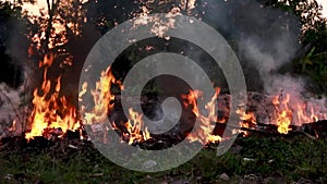 Fire Looping  isolated seamless loop. Looping Fire Element, SMotion Fire Ignition From Bottom To Top. Isolated fire flame