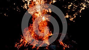 Fire Looping  isolated seamless loop. Looping Fire Element, SMotion Fire Ignition From Bottom To Top. Isolated fire flame