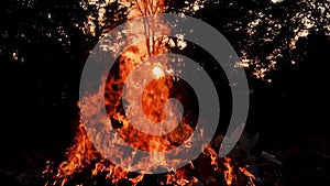 Fire Looping  isolated seamless loop. Looping Fire Element, SMotion Fire Ignition From Bottom To Top. Isolated fire flame