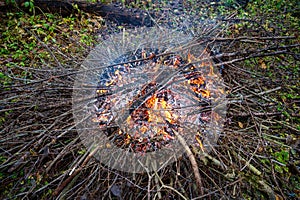 Fire made of twigs from garden cleaning