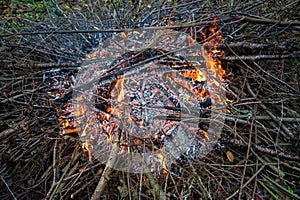 Fire made of twigs from garden cleaning
