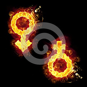 Fire Male Female Signs