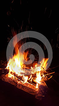Fire from the fire in nature. sparks from fire. Black background
