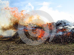 Fire open. Burning agricultural waste