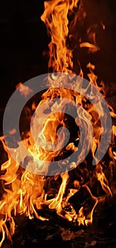 fire orange mystically