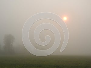 Fire orange sunrise through foggy hillside in FingerLakes