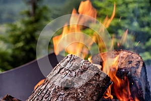 Fire at an outdoor fireplace with blurred forest background