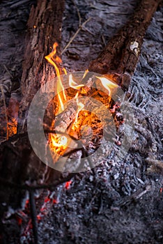 Fire in outdoors fire pit - Camp fire.