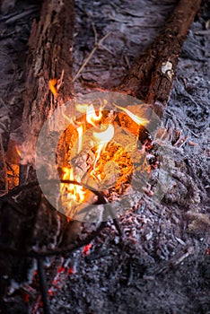 Fire in outdoors fire pit - Camp fire.