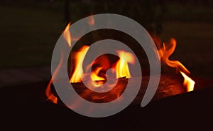 Fire. A picnic in the open air in a country house.