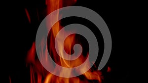 Fire pit, burning wood burns with fire and flames. Motion graphics, or as background.