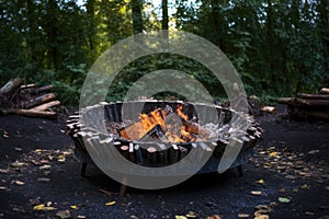 fire pit with burnt logs and scattered ashes