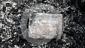 After the fire in the Prairie metal muss appears