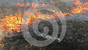 Fire rages in long grass, foreground