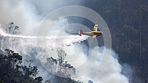 fire in the rainforest extinguishes the plane with water bombing