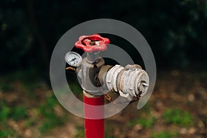 A fire red hydrant in the grass