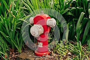 A fire red hydrant in the grass