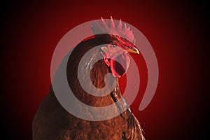 Fire rooster on red .Symbol of new year 2017