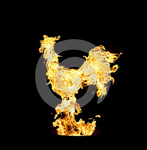 Fire rooster, symbol of new 2017 year. Photo collage of yellow flame elements on black background.
