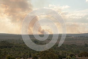 Fire in the savannas North of Brasilia, Brazil