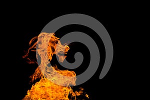 Fire in the shape of a goat`s muzzle. Fire flames on black background isolated. fire patterns