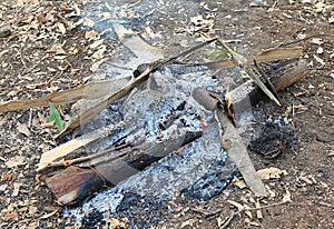 Fire and smoke burning on wood trunk. camfire
