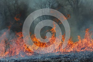 Fire and Smoke - Dangerous Heat