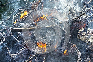 Fire and smoke of old, last year's grass, dry branches and debris. Abstract background. Fire safety concept, forest fire