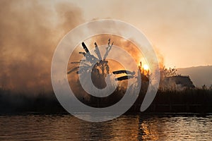 Fire and smoke on tropical fields