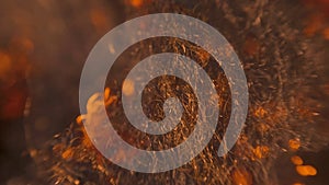 Fire spreads rapidly through steel wool, a lot of sparks