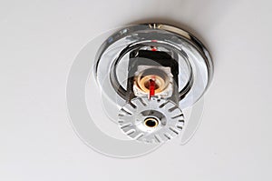 Fire Sprinkler