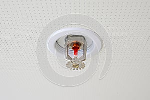 Fire sprinkler