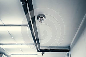 Fire sprinkler nozzle and pipes on white celling, automatic fire protection system in buildings