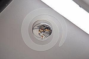 Fire sprinkler nozzle on white celling, automatic fire protection system in buildings